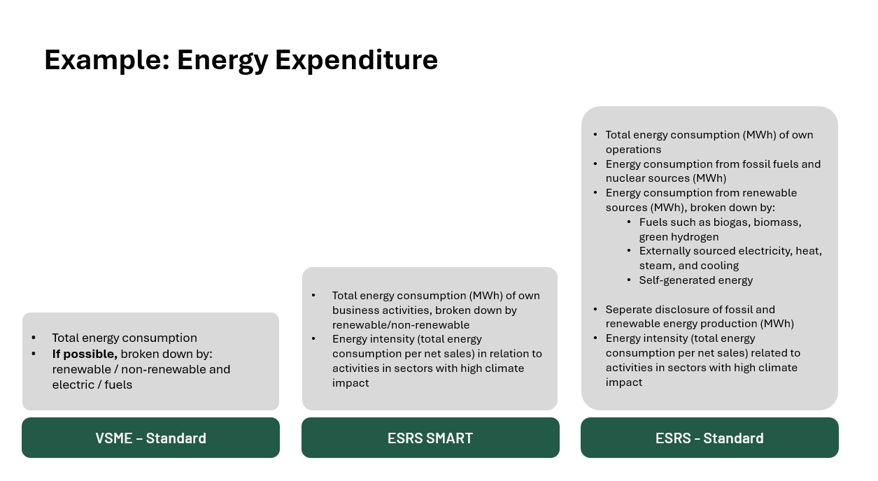 Vsme Example Sustainability reporting comparison: VSME, ESRS, and ESRS SMART - Fokus ...