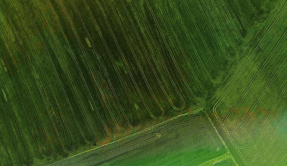 Headerbild zur Erfolgsgeschichte von Fokus Zukunft und der Landgard Obst & Gemüse GmbH & Co. KG