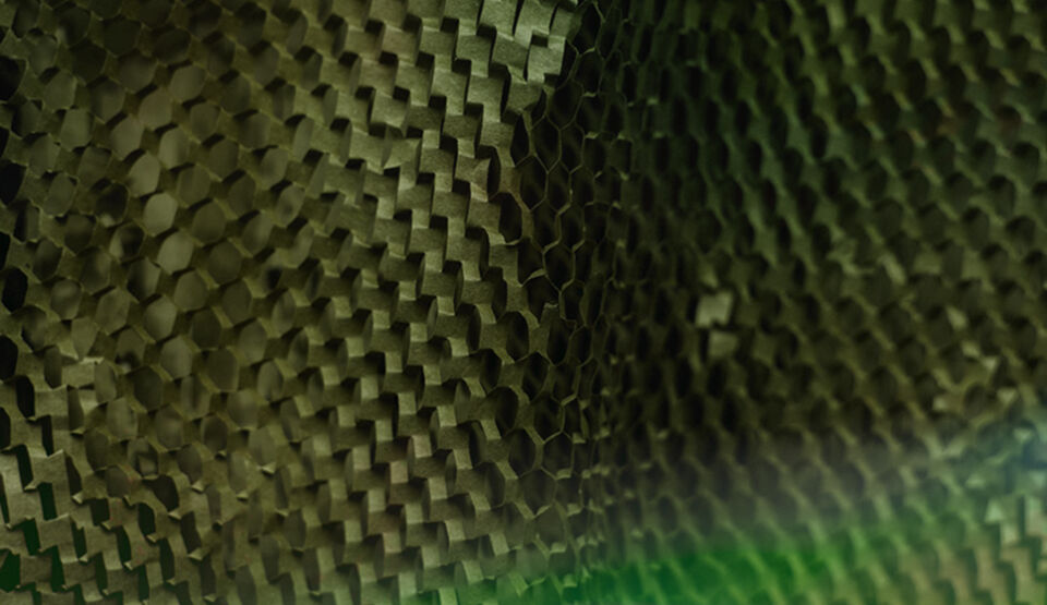 Header für die Leistung "PPWR-Beratung"