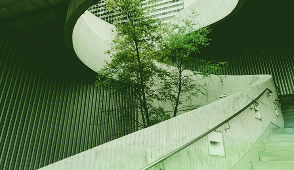 Headerbild für den Wissensbibliothek-Artikel "Green Claims im DACH-Raum: Was die EmpCo und das Schweizer UWG für Unternehmen bedeuten"