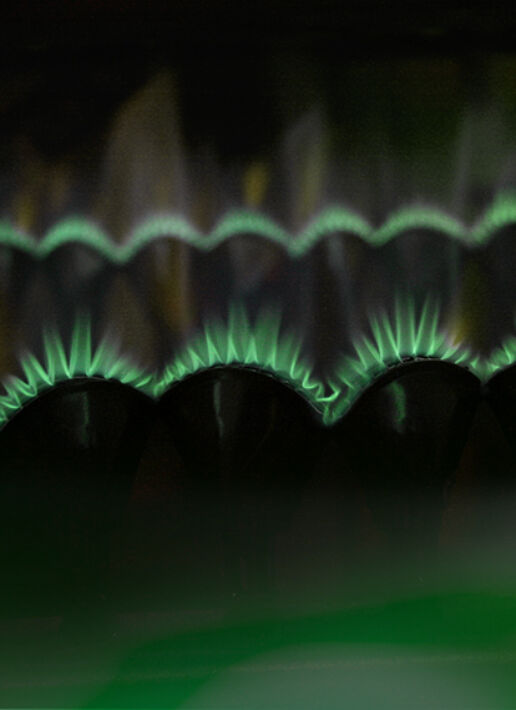 Headerbild zur Erfolgsgeschichte von Fokus Zukunft und der Viterma AG zum Thema Green Claims Prüfung.