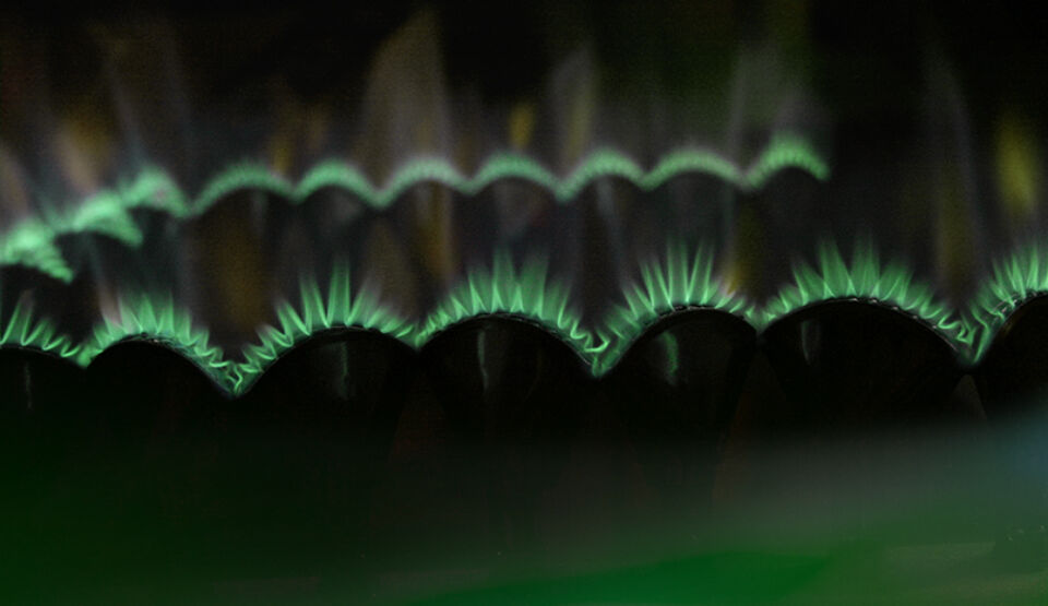 Headerbild zur Erfolgsgeschichte von Fokus Zukunft und der Viterma AG zum Thema Green Claims Prüfung.